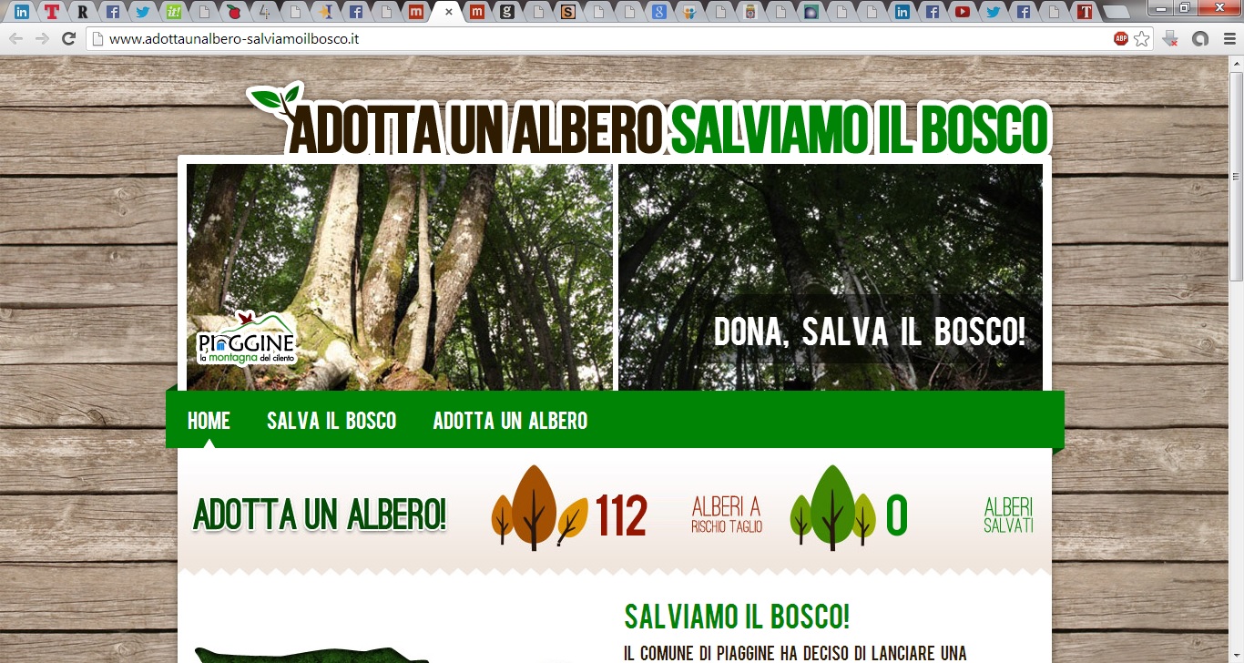 Campagna donazioni per salvare il bosco del Monte Cervati